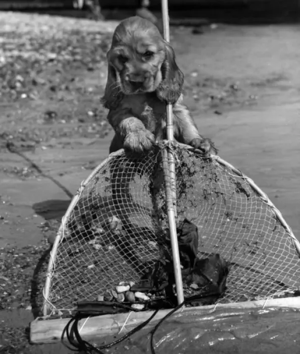 Framed Print : Susi - with fishing net Framed Print : Susi - with fishing net