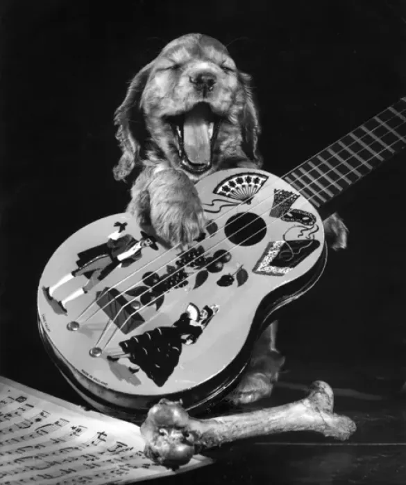 Framed Print : Susi - with guitar and bone Framed Print : Susi - with guitar and bone