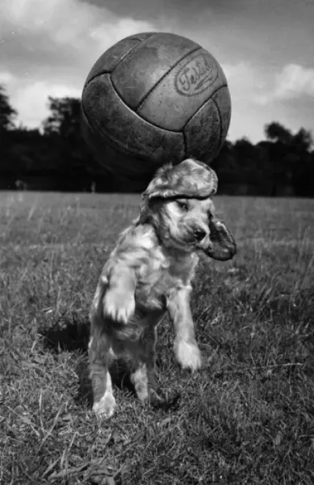 Framed Print : Susi - having fun with a football Framed Print : Susi - having fun with a football