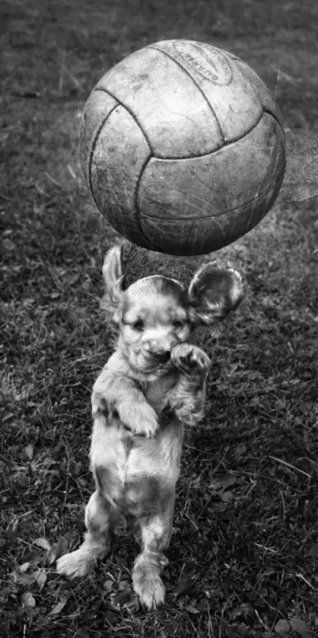 Framed Print : Susi - having fun with a football Framed Print : Susi - having fun with a football