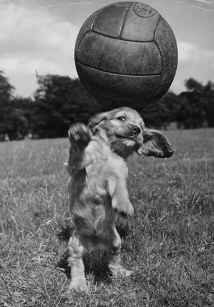 Susi - having fun with a football