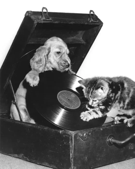 Framed Print : Susi - with kitten, putting on a record Framed Print : Susi - with kitten, putting on a record