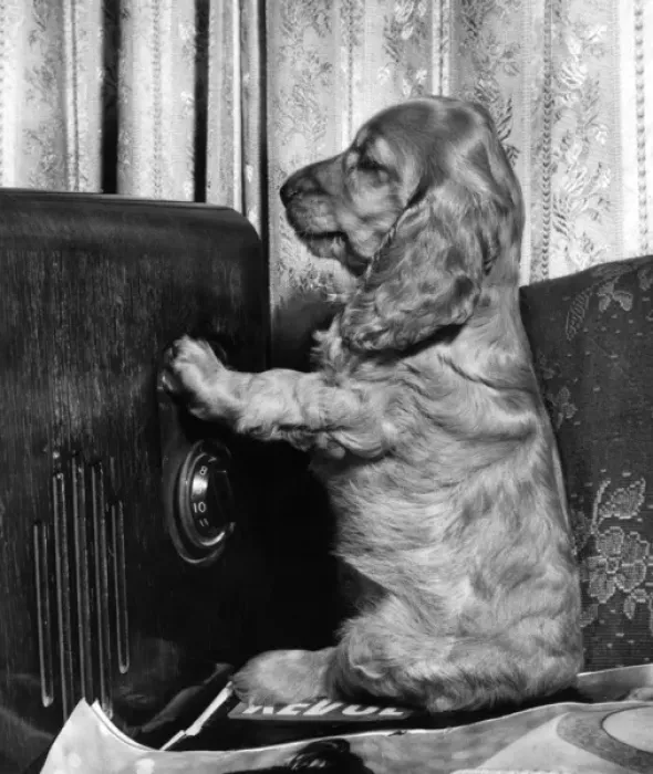 Framed Print : Susi - with old radio Framed Print : Susi - with old radio