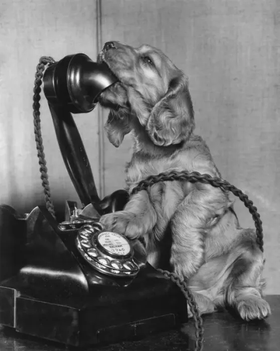 Framed Print : Susi - on the phone Framed Print : Susi - on the phone