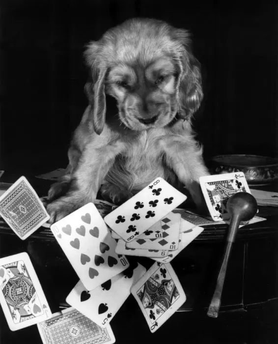 Framed Print : Susi - with pipe and playing cards Framed Print : Susi - with pipe and playing cards