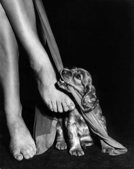 Framed Print : Susi - ruining Mums stockings Framed Print : Susi - ruining Mums stockings