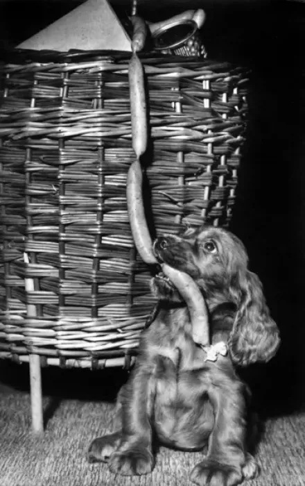 Framed Print : Susi - with shopping basket Framed Print : Susi - with shopping basket