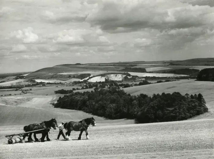 Framed Print : The Sussex Downs Framed Print : The Sussex Downs