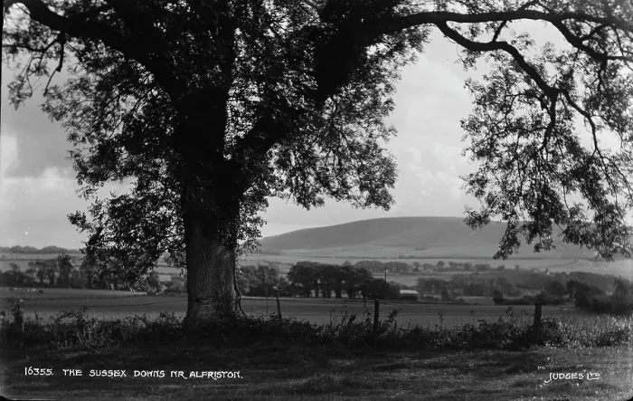 Framed Print : The Sussex Downs near Alfriston Framed Print : The Sussex Downs near Alfriston
