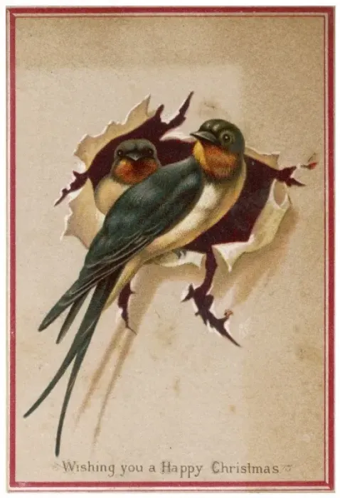 Framed Print : Two Swallows Framed Print : Two Swallows
