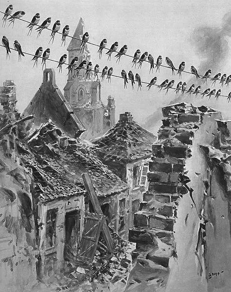 Swallows migrating amongst the ruins, WW1