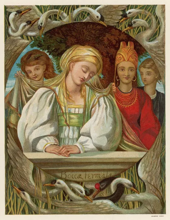 Framed Print : The Six Swans Boyle Framed Print : The Six Swans Boyle