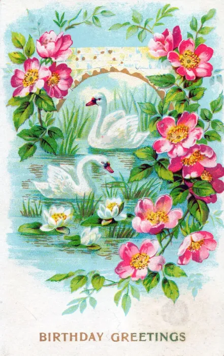 Framed Print : Swans and flowers on a birthday greetings postcard Framed Print : Swans and flowers on a birthday greetings postcard