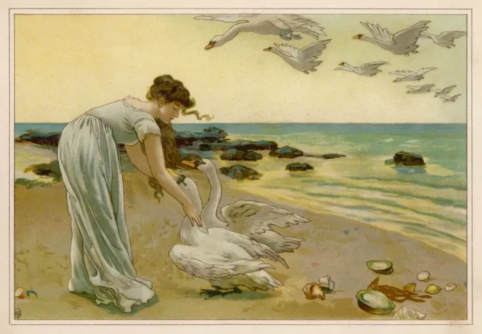 Framed Print : The Six Swans Havers Framed Print : The Six Swans Havers