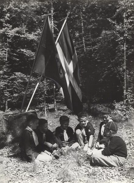 Swedish Cub Scouts and Flags