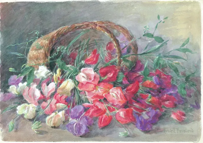 Framed Print : Sweet peas'. Flowers Framed Print : Sweet peas'. Flowers