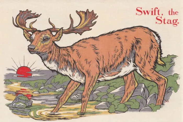 Framed Print : Swift the stag. A male deer walking into a pool at sunset Framed Print : Swift the stag. A male deer walking into a pool at sunset