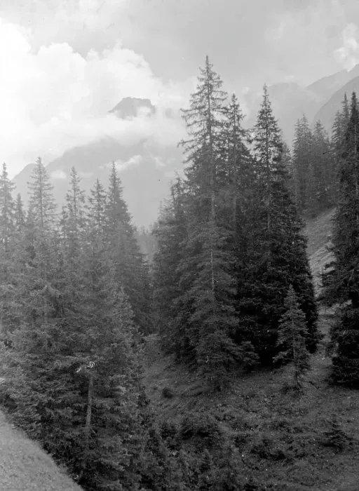 Framed Print : Swiss Alps: alpine view Framed Print : Swiss Alps: alpine view