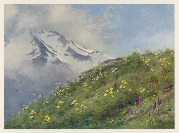 Framed Print : Swiss Alps / Col Forclaz Framed Print : Swiss Alps / Col Forclaz