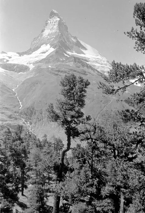 Framed Print : Swiss Alps: The Matterhorn Framed Print : Swiss Alps: The Matterhorn