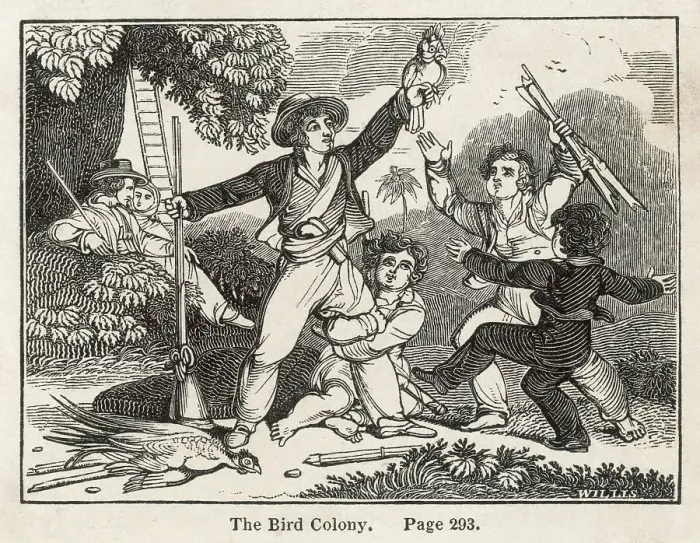 Framed Print : SWISS FAMILY ROBINSON Framed Print : SWISS FAMILY ROBINSON