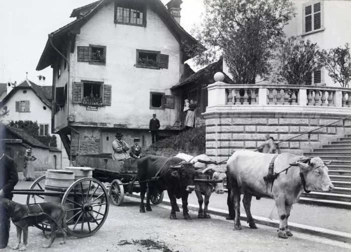 Framed Print : Switzerland - milk cart and ox cart Framed Print : Switzerland - milk cart and ox cart