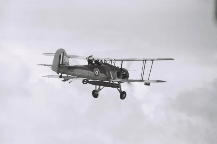 Framed Print : Swordfish at Greenham Common Framed Print : Swordfish at Greenham Common