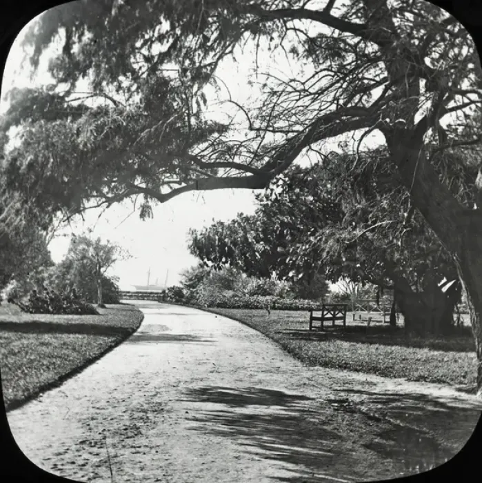 Framed Print : Sydney, Australia - Botanical Gardens Framed Print : Sydney, Australia - Botanical Gardens