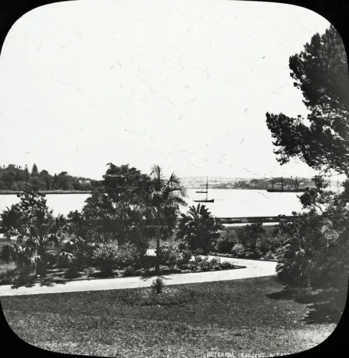 Framed Print : Sydney, Australia - Farm Cove, from Botanical Gardens Framed Print : Sydney, Australia - Farm Cove, from Botanical Gardens