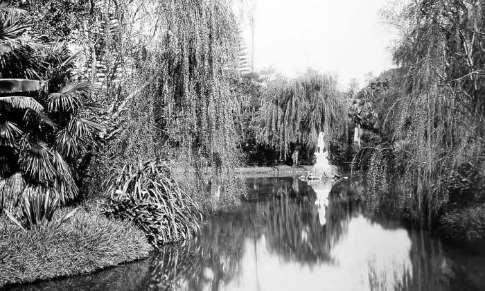 Framed Print : Sydney Botanic Gardens, NSW, Australia Framed Print : Sydney Botanic Gardens, NSW, Australia