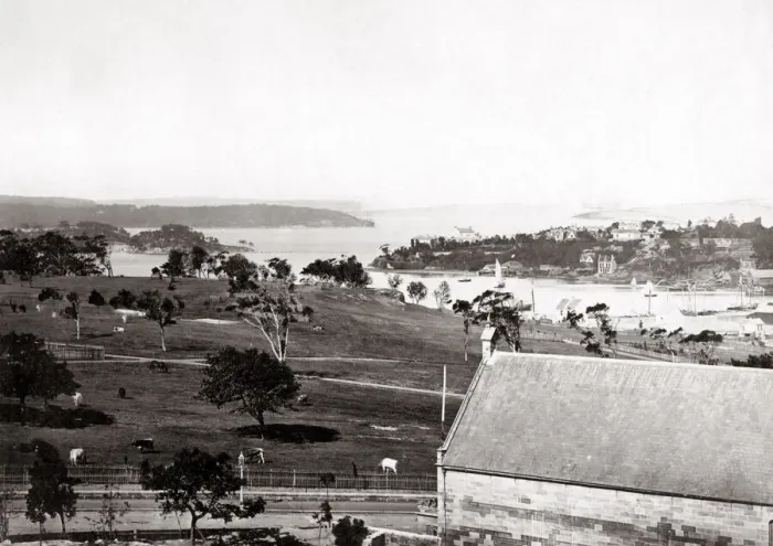 Framed Print : Sydney harbour, New South Wales, Australia, c. 1880 Framed Print : Sydney harbour, New South Wales, Australia, c. 1880