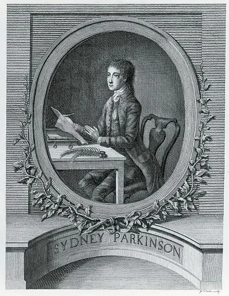 Sydney Parkinson (1745-1771)