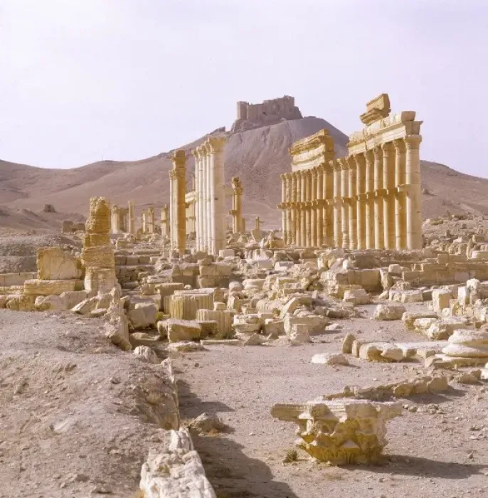 Framed Print : Syria / Palmyra / Colonnade Framed Print : Syria / Palmyra / Colonnade
