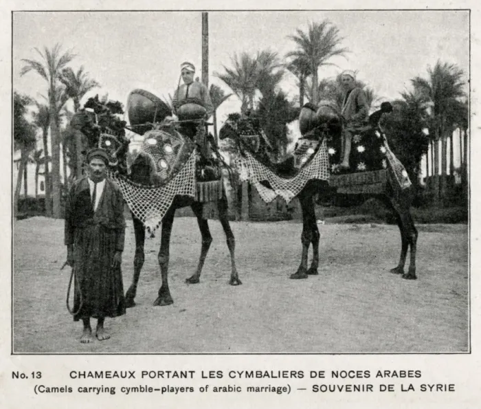 Framed Print : Syrian Wedding Train - camels bearing drums and drummers Framed Print : Syrian Wedding Train - camels bearing drums and drummers