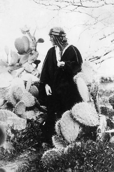 T E Lawrence (Lawrence of Arabia) with cacti