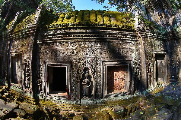 Ta Phrom, Khmer Temple in Angkor, Siem Reap, Cambodia