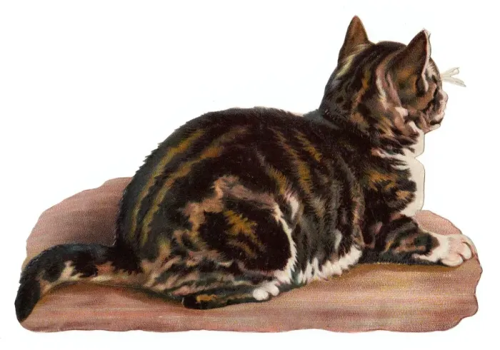 Framed Print : Tabby cat on a Victorian scrap Framed Print : Tabby cat on a Victorian scrap