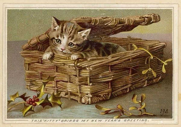 Tabby Kitten in Basket