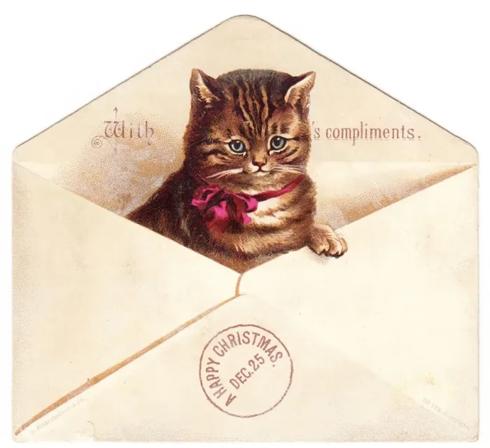 Framed Print : Tabby kitten in an envelope on a Christmas card Framed Print : Tabby kitten in an envelope on a Christmas card