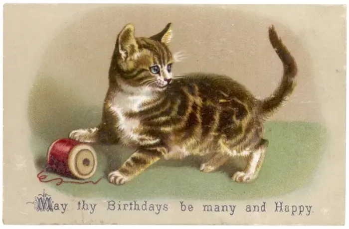 Framed Print : Tabby Kitten with Reel Framed Print : Tabby Kitten with Reel