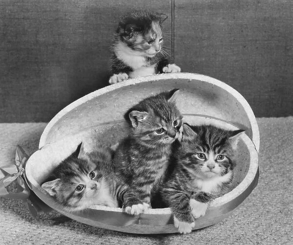 Four tabby kittens with Easter egg container