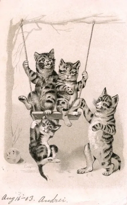 Framed Print : Four tabby kittens playing on a swing on a postcard Framed Print : Four tabby kittens playing on a swing on a postcard