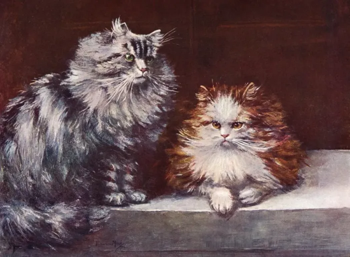 Framed Print : Tabby / Orange Persians Framed Print : Tabby / Orange Persians