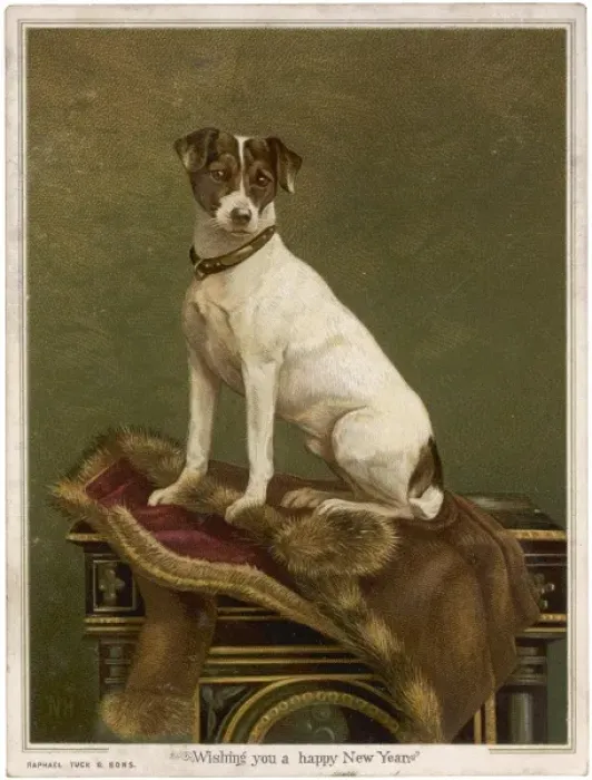 Framed Print : Tabled Terrier Framed Print : Tabled Terrier