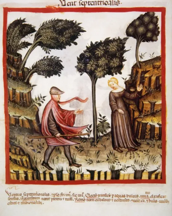 Framed Print : Tacuinum Sanitatis. 14th century. Medieval handbook of health Framed Print : Tacuinum Sanitatis. 14th century. Medieval handbook of health