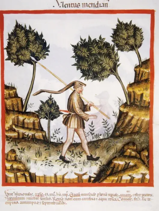 Framed Print : Tacuinum Sanitatis. 14th century. Medieval handbook of health Framed Print : Tacuinum Sanitatis. 14th century. Medieval handbook of health