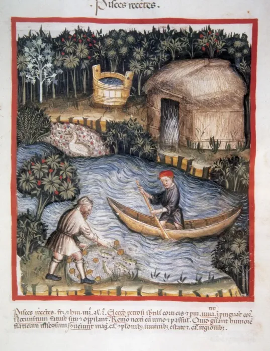 Framed Print : Tacuinum Sanitatis. 14th century. Medieval handbook of healt Framed Print : Tacuinum Sanitatis. 14th century. Medieval handbook of healt