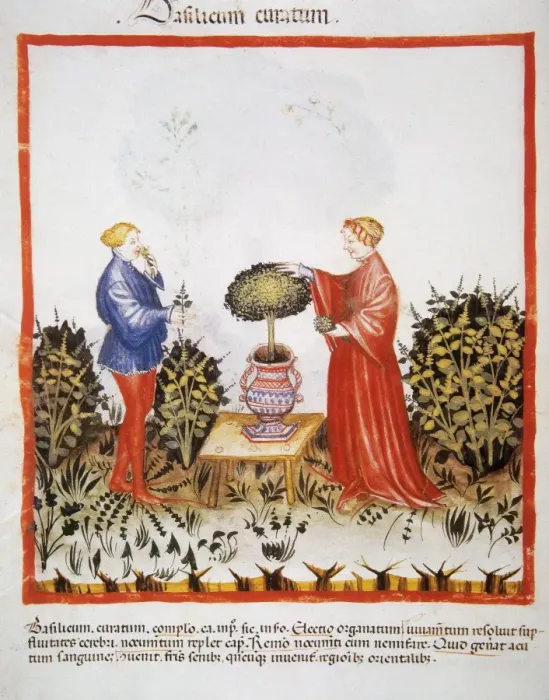 Framed Print : Tacuinum Sanitatis. Late 14th century. Marriage picking a va Framed Print : Tacuinum Sanitatis. Late 14th century. Marriage picking a va