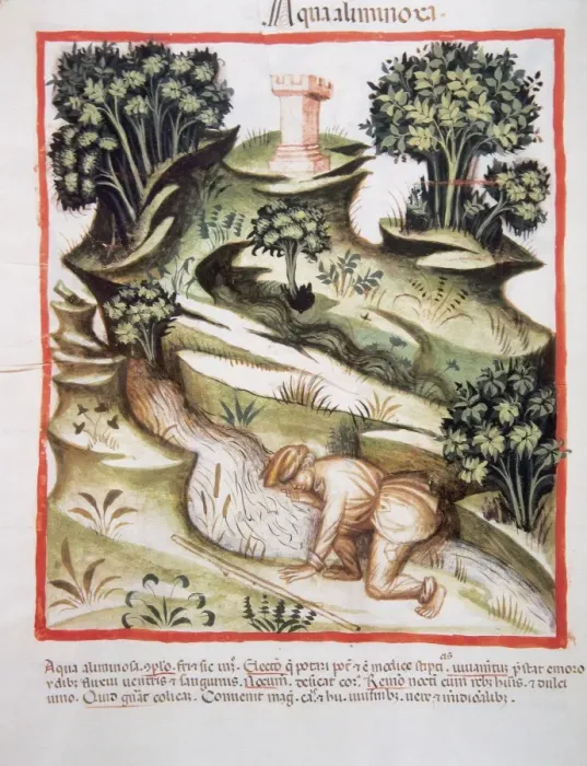 Framed Print : Tacuinum Sanitatis. A man drinks water from a river Framed Print : Tacuinum Sanitatis. A man drinks water from a river