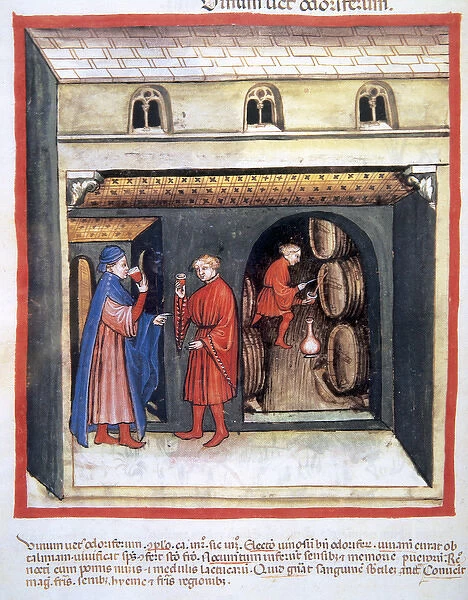Tacuinum Sanitatis. Wine cellar